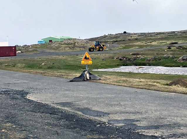 VALGO désamiante plusieurs bâtiments dans les terres australes et antarctiques françaises