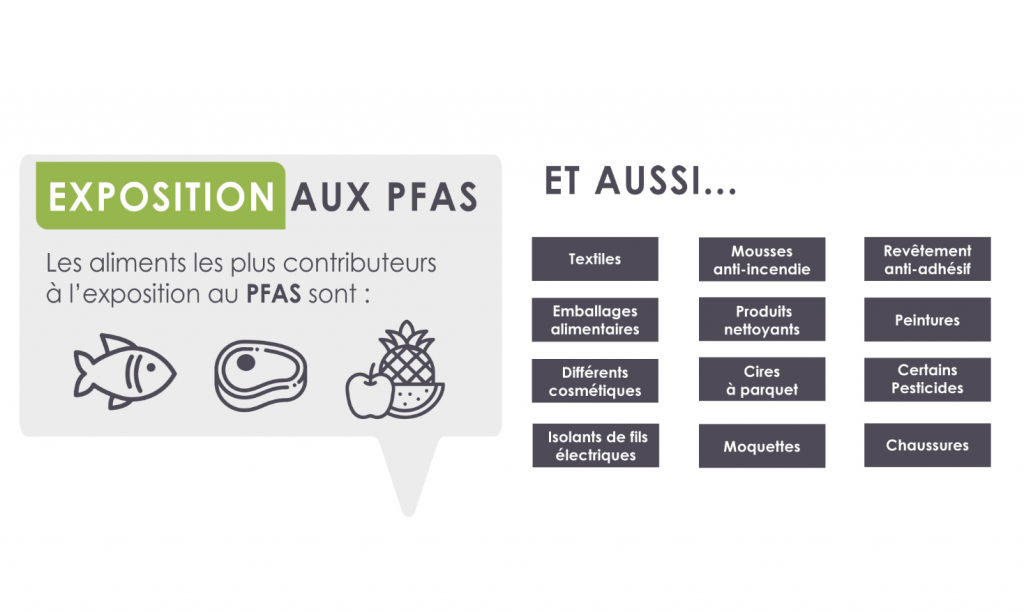 Les polluants de type PFAS ont un impact sur la santé humaine